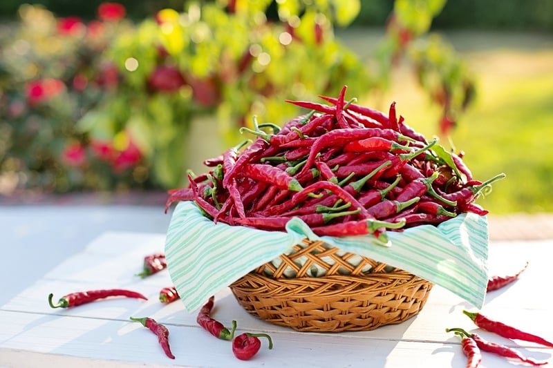 Vegetarian Chili
